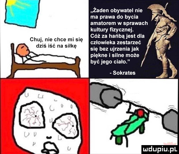 żaden obywatel nie ma prawa do bycia amatorem w sprawach kultury fizycznej. cóż za hańbą jest dla czlowieka zestarzeć się bez ujrzenia jak piękne i silne może być jego cialo sokrates j czui nie chce misię dziś iść na silke