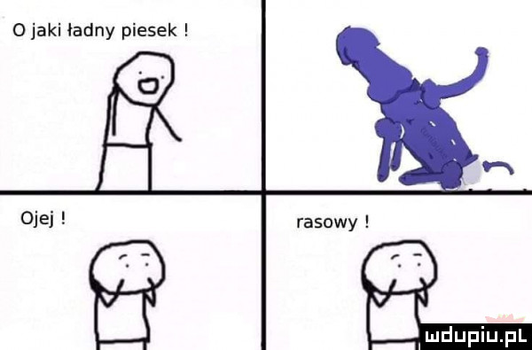olaki ładny piesek ojej rasowy