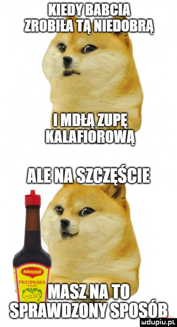 co unum ziu nmrlnnnwn eleebbiihęiee lo wdaniu i p
