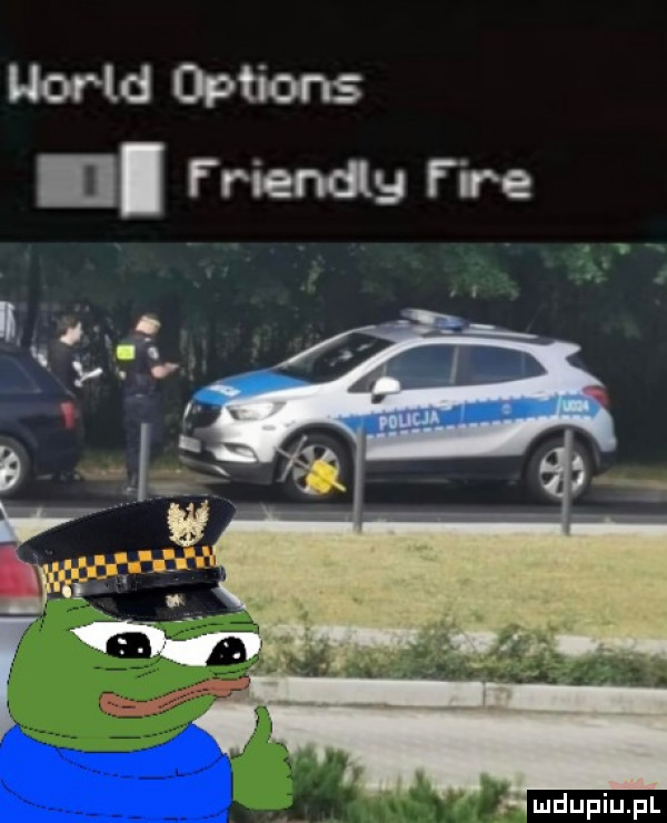wored options i. friendy fice