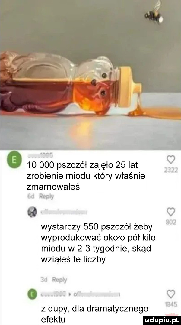 pszczół zajęło    lat zrobienie miodu który właśnie zmarnowałeś l repry o wystarczy     pszczół żeby w wyprodukować około pół kilo miodu w     tygodnie skąd wziąłeś te liczby. i. abakankami o i o z dupy dla dramatycznego efektu