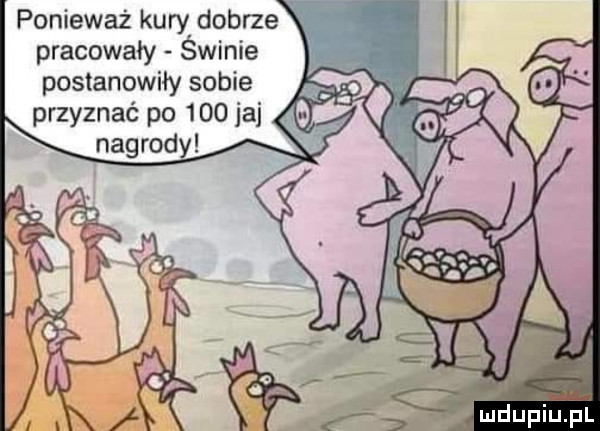 ponieważ kury dobrze pracowały swinie postanowiły sobie przyznać po     jaj