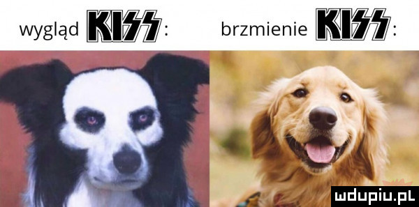 wygląd brzmienie