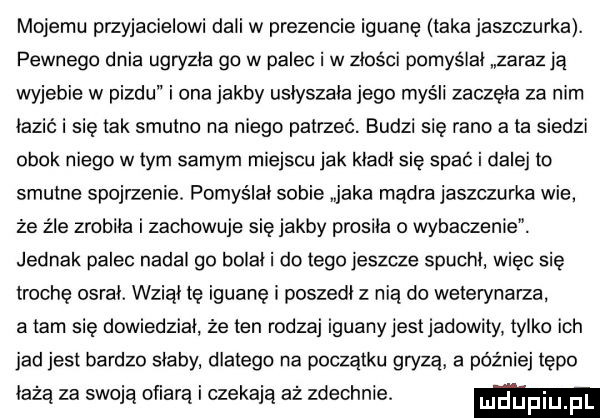 mojemu przyjacielowi dali w prezencie iguanę laka jaszczurka. pewnego dnia ugryzla go w palec i w zlosci pomyślal zaraz ja wyjebie w pizdu i ona jakby uslyszala jego myśli zaczęła za nim lazić i się tak smutno na niego patrzeć. budzi się rano a ta siedzi obok niego w tym samym miejscu jak kladl się spać i dalej m smutne spojrzenie. pomyślal sobie jaka mądra jaszczurka wie. że źle zrobila i zachowuje się jakby prosila o wybaczenie. jednak palec nadal go bolal i do tego jeszcze spuchl więc się trochę osral. wziął tę iguanę i poszedl z nią do weterynarza a tam się dowiedzial że ten rodzaj iguany jest jadowity tylko ich jad jest bardzo slaby dlatego na początku gryzą a później tępo łażą za swoją ofiarą i czekają aż zdechnie. ludupiu f