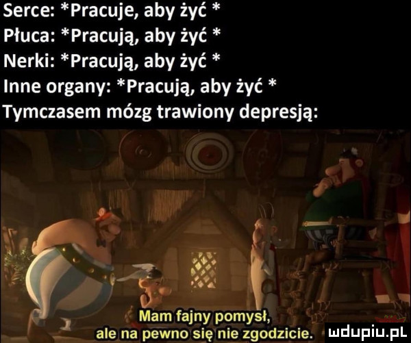 serce pracuje aby żyć płuca pracują aby żyć nerki pracują aby żyć inne organy pracują aby żyć tymczasem mózg trawiony depresją ł.    . mam fajny pomysł ale na pewno się nie zgodzicie. mduplu pl i