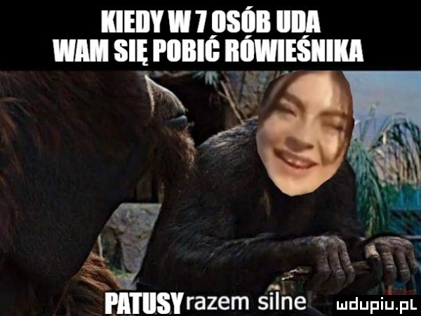 iieiiy w   iisiiii iiiiii wm się i iiiiiii iii iwieśiiiii m i ilsvrazem sﬁhe adam
