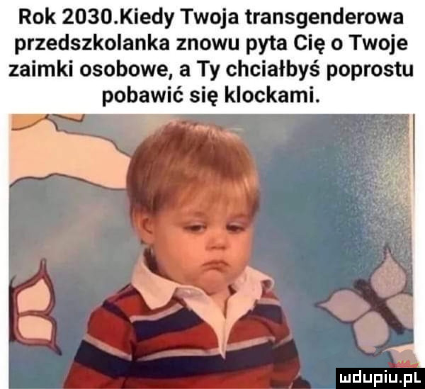 rok      kiedy twoja transgenderowa przedszkolanka znowu pnia cię o twoje zaimki osobowe a ty chciałbyś podrostu pobawić się klockami