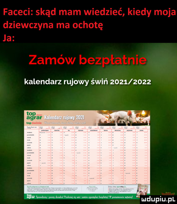 kalendarz rujowy świń           uimmedh hau uavd wwhmv