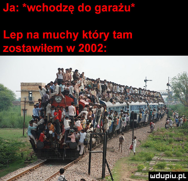 Obrazek