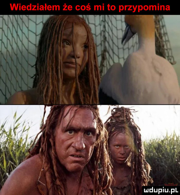 w m