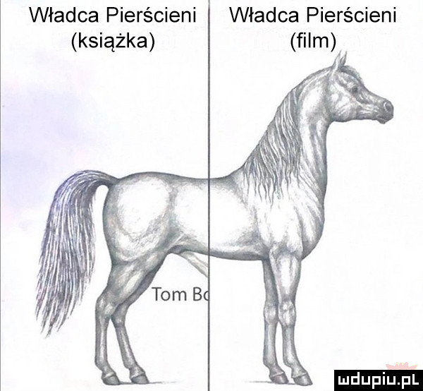władca pierścieni władca pierścieni książka film ludu iu. l
