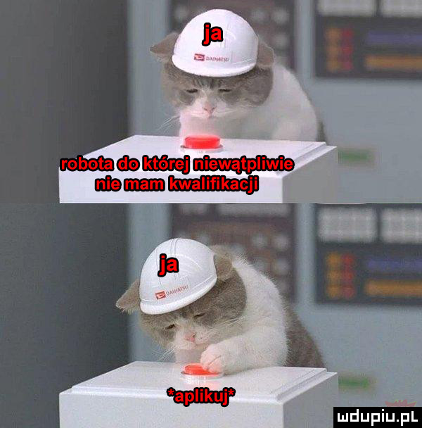 g. paa. mdupiilfl