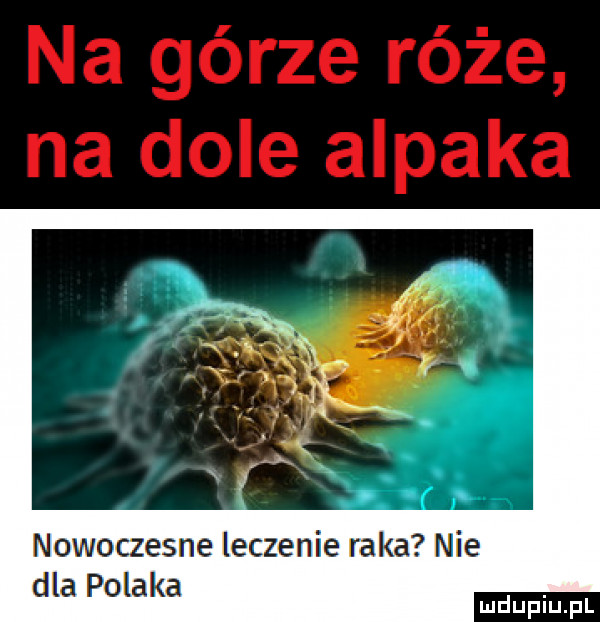 nowoczesne leczenie raka nie dla polaka