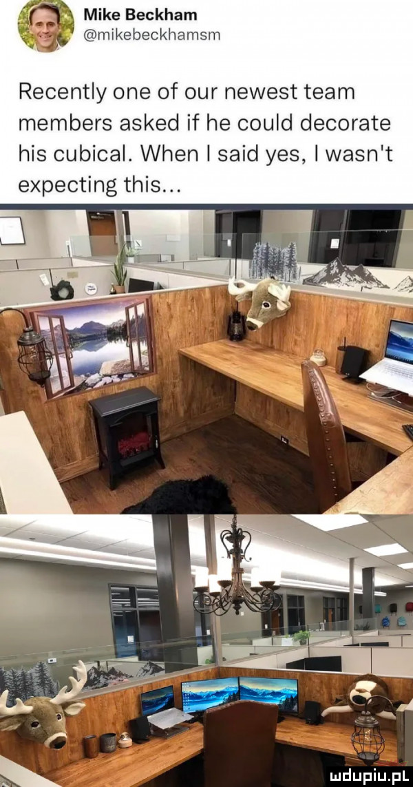 mike beckham mikebeckhamsm recently one of ocr newest team members asked if he could decorate his cubical. wien i said yes i wasn t expecting tais