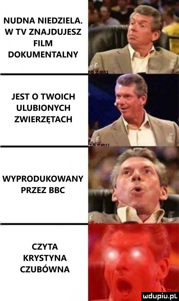 nudna niedziela. w tv znajdujesz film dokumentalny jest o twoich ulubionych zwierzętach wyprodukowany przez bbc czyta krystyna czubówna