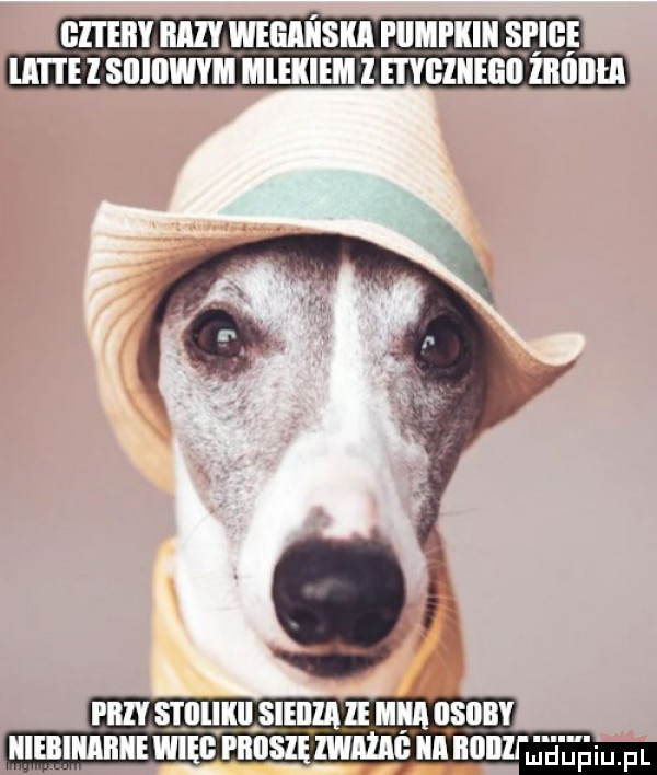 i m s lllllll sieiiiaie ibl iisiiby iiiaiiiii więc piiiisię mma iii na