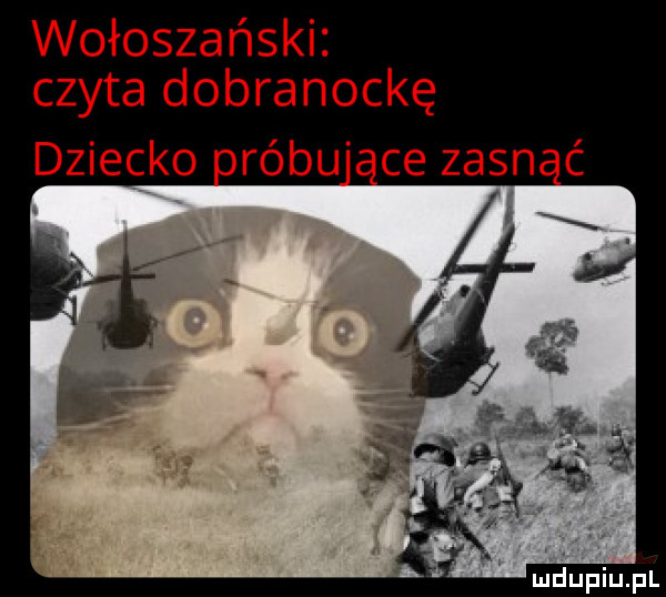 wołoszański czyta dobranockę dziecko