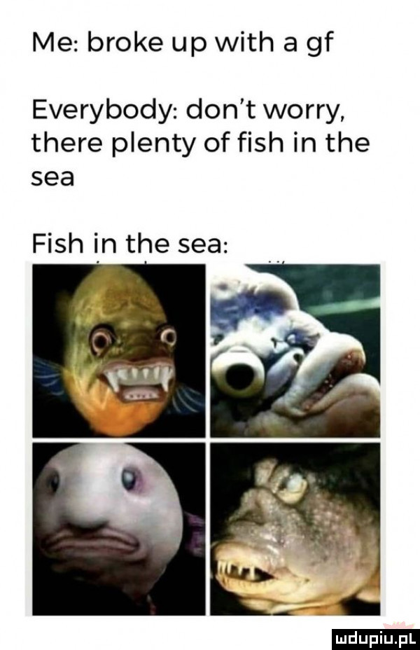 me broce up with a gf everybody don t wowry thebe puenty of fish in tee saa fish in tee saa