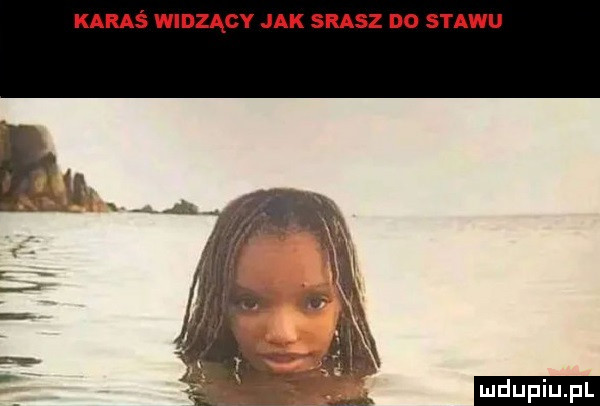karaś widzący jak srasz d  stawu