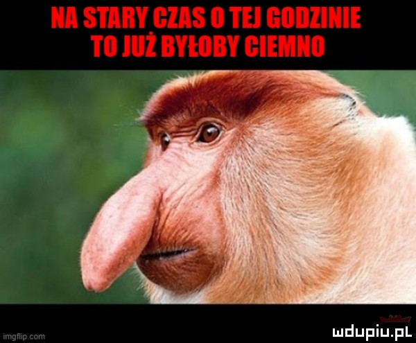 Obrazek
