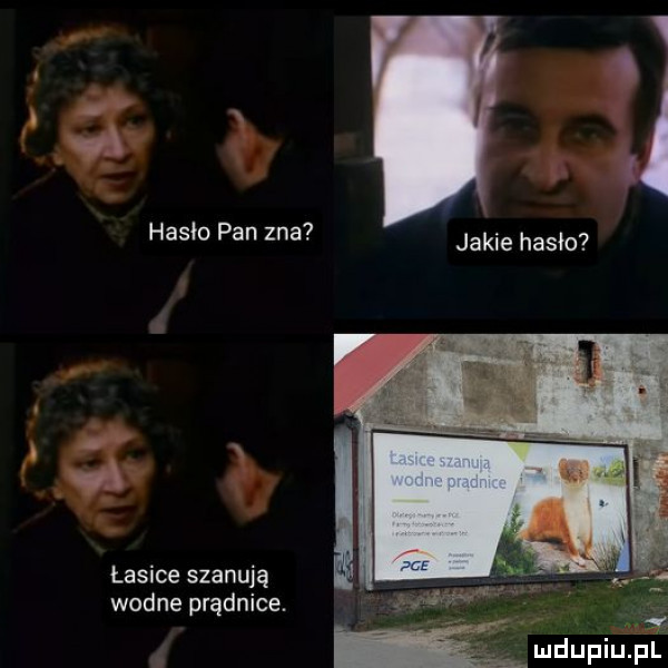 vi l hasło pan zna jakie hasło. v łasice szanują wodne prądnice