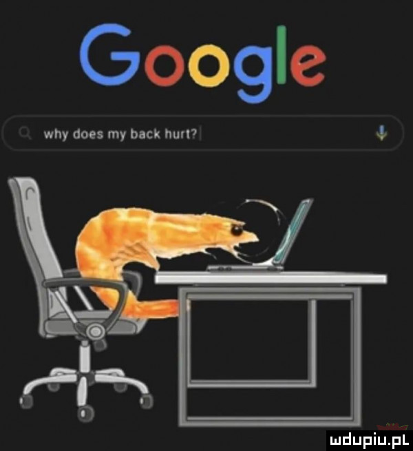 google whydoe smybac car kat