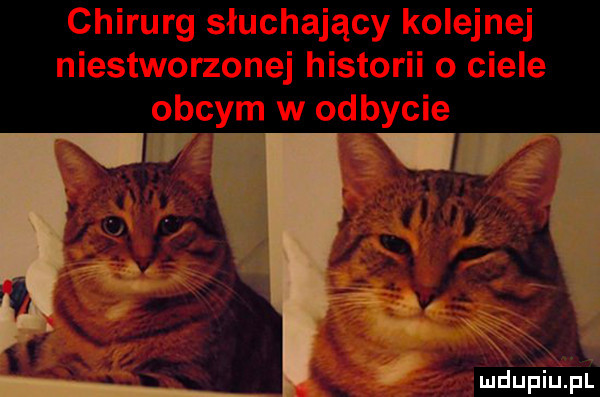Obrazek