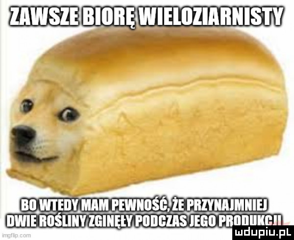 mbiubęmieioziabnisty