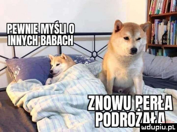h h w. abakankami. a mm punnnznłm
