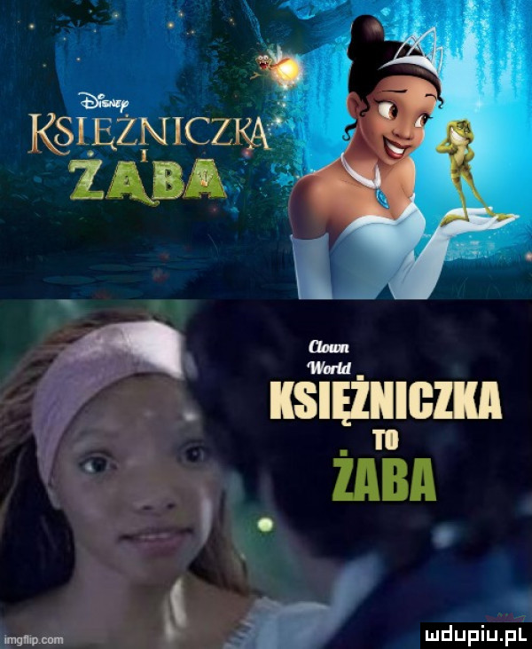 f. nswiiżumm żaba
