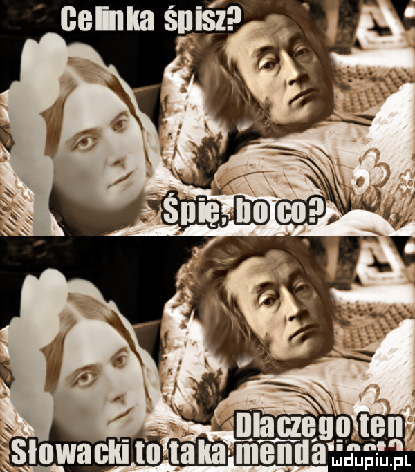 Obrazek