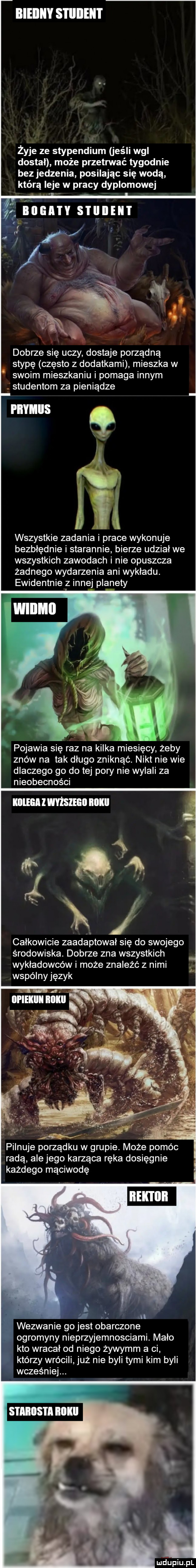 bieiiiiy s i iiiieii i żyje ze stypendium jeśli wal dostał może przetrwać tygodnie bez jedzenia posilając się wodą którą leje w pracy dyplomowej tran erinnn dobrze się uczy dostaje porządną stypę często z dodatkami mieszka w swoim mieszkaniu i pomaga innym studentom za pieniądze piiyiiiis l  . l wszystkie zadania i prace wykonuje bezbłędnie i starannie bierze udział we wszystkich zawodach i nie opuszcza żadnego wydarzenia ani wykładu. ewidentnie z innej planety pojawia się raz na kilka miesięcy żeby znów na tak długo zniknąć. nikt nie wie dlaczego go do tej pory nie wylali za nieobecności całkowicie zaadaptował się do swojego środowiska. dobrze zna wszystkich wykładowców i może znaleźć z nimi wspólny język k. git c pilnuje porządku w grupie. może pomóc radą alejego karząca ręka dosięgnie kazdego mąciwodę. wezwanie go jest obarczone ogromyny nieprzyjemnosciami. mało kto wracał od niego żywymm a ci którzy wrócili już nie byli tymi kim byli wcześniej. a i i