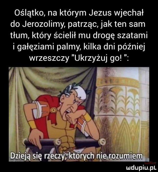 oślątko na którym jezus wjechał do jerozolimy patrząc jak ten sam tłum który ścielił mu drogę szatami i gałęziami palmy kilka dni później wrzeszczy ukrzyżuj go