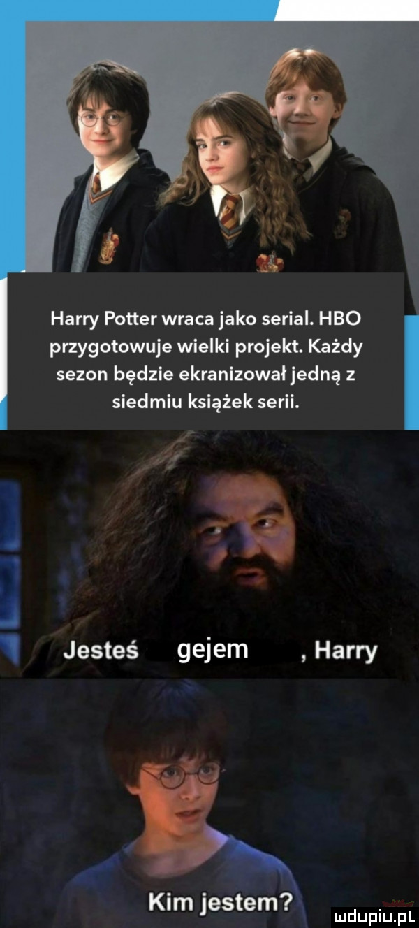 iu j ł harry potter wraca jako serial. hbo przygotowuje wielki projekt. każdy sezon będzie ekranizowałjedną z siedmiu książek serii. a jesteś gejem harry kim jestem dupqul
