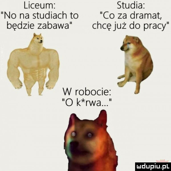 liceum studia no na studiach to co za dramat będzie zabawa chcę już do pracy i. wrobicie o k rvva ludu iu. l
