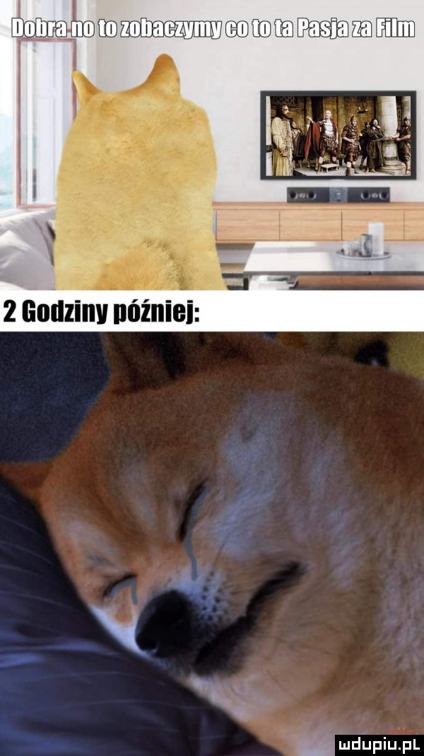 Obrazek