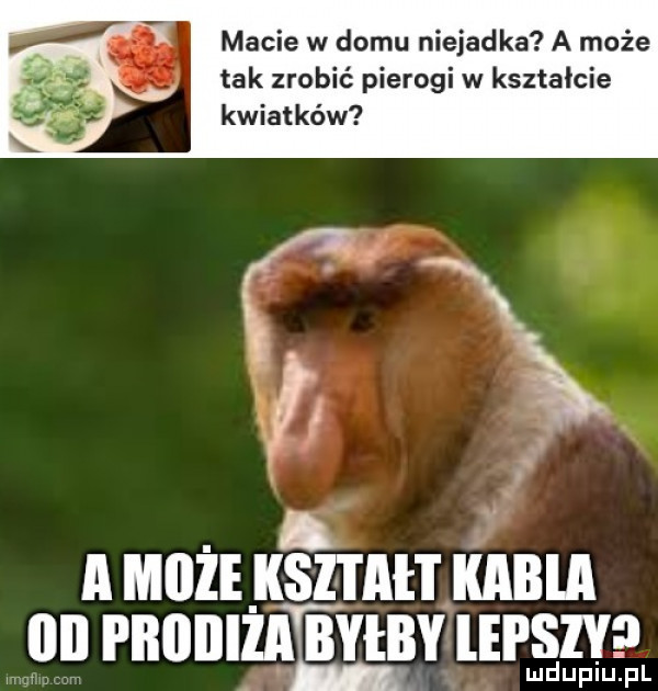 macie w domu niejadka a może tak zrobić pierogi w kształcie kwiatków i a micie kształt kabla iii fiiiiiiiiaibyiby lei say l lud upiu. pl