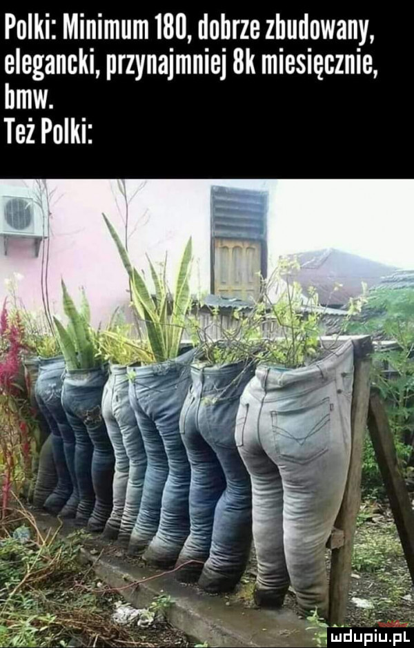 pliki minimum     dobrze zbudowany elegancki przynajmniej bk miesięcznie bmw. też polki