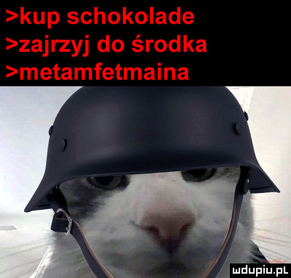 meupiupl