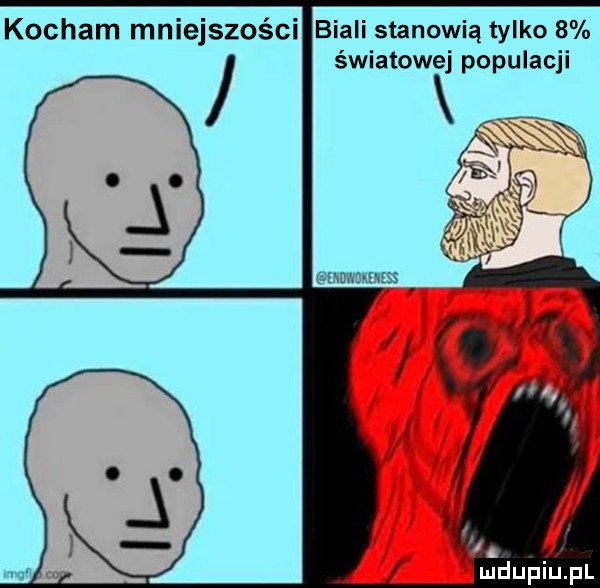 kocham mniejszości biali stanowią tylko   światowej populacji