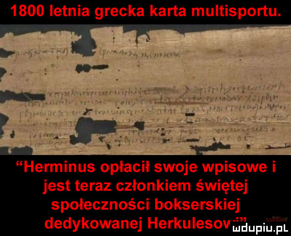 letnia grecka karta multisportu. herminus opłacił swoje wpisowe i jest teraz członkiem świętej społeczności bokserskiej dedykowanej herkulesowa gmpium