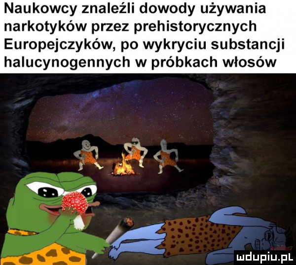 naukowcy znaleźli dowody używania narkotyków przez prehistorycznych europejczyków po wykryciu substancji halucynogennych w próbkach włosów