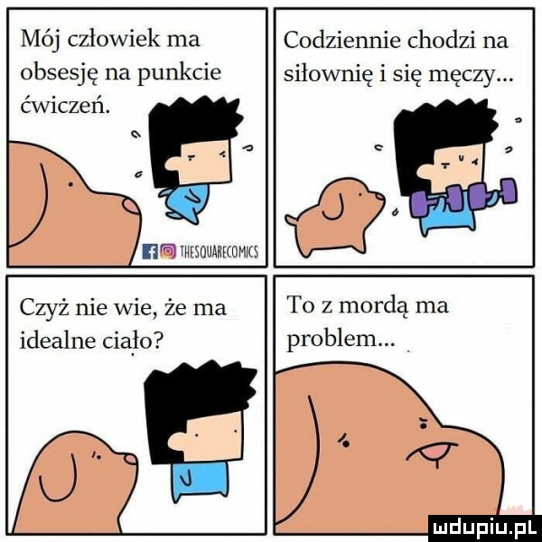 mój człowiek ma obsesję na punkcie ćwiczeń. x wnowwoma codziennie chodzi na siłownię i się męczy. czyż nie wie że ma idealne cialo me to z mordą ma problem