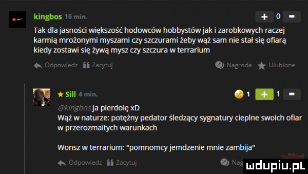klngbns nw a maajasumduigmoi mmhdmystbwjakizanmhmydu mm kampią mmżmyrninysmnitzyszmlmiżebywążsmnnieslzlsięuiarą umwxżyvvąmyszuysmuramenariun a at w apiq ddęm wąż w nanne my pedator gleam wan v adm mm ogar w przemzmaitych warunkach wurst w wan m pmmomcyjundlmie mnie lambija. na w