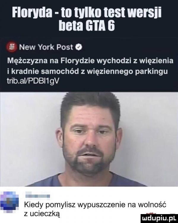 fionula to tylko test wers i neta gta ii ili naw york post   mężczyzna na florydzie wychodzi z więzienia i kradnie samochód z więziennego parkingu trąb avpdbi gv. kiedy pomylisz wypuszczenie na wolność z ucieczką