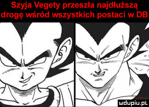 szyja vegety przeszła najdłuższą drogę wśród wszystkich postaci w db