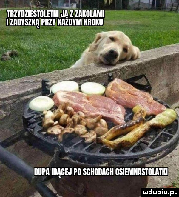 l mii l whiyiiziestiiletiii jl z zikijijimi i    qu piczy kiżiwm iiiijki va deupiupl