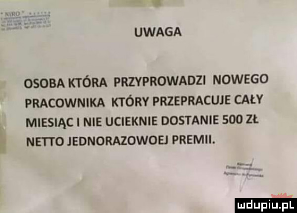 v uwaga osoba która przyprowadzi nowego pracownika który przepracuje cały miesiąc i nie ucieknie dostanie     zł netto jednorazowoei premii
