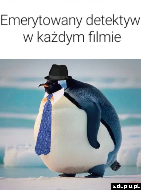 emerytowany detektyw w każdym ﬁlmie