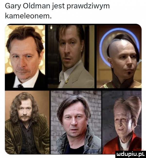 m v. w z d w m d. t s bl n a m m o w a g m e n   b e m a k